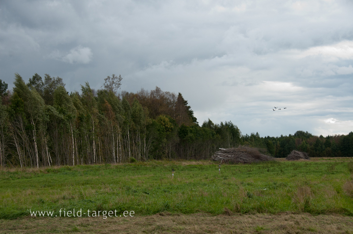 0072   millist sihtmarki valida